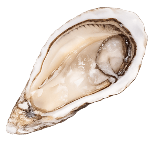 Les Merveilles de la Manche - Calibro 2