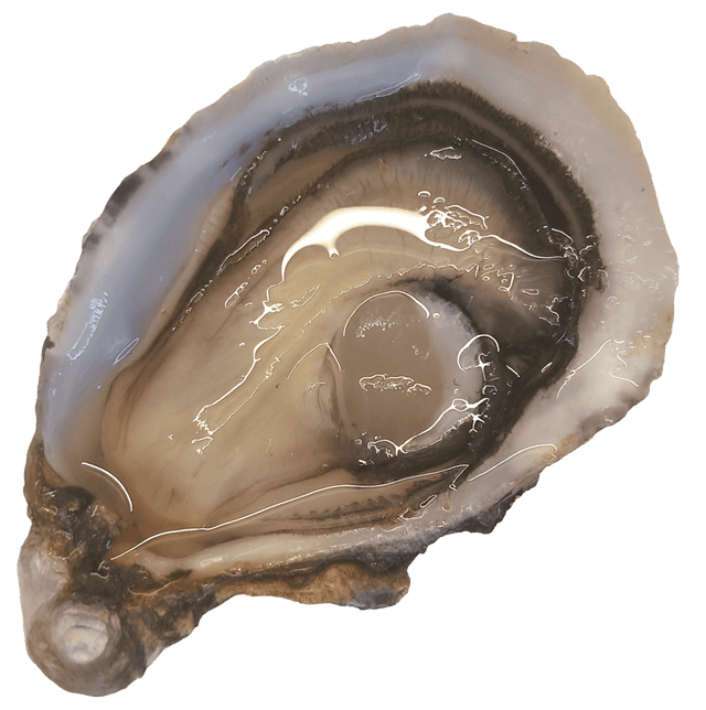 Spéciales Saint Vaast - Calibro 3