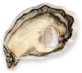 La Spéciale Geay - Calibro 3