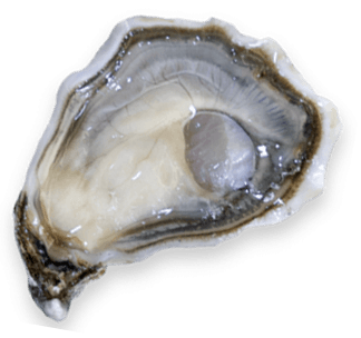 La Môme Geay - Calibro 5