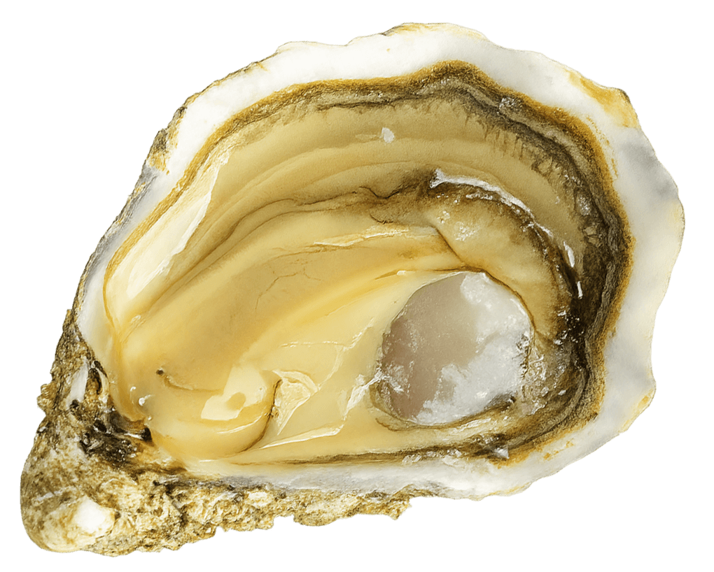 Spéciales Gillardeau - Calibro 3