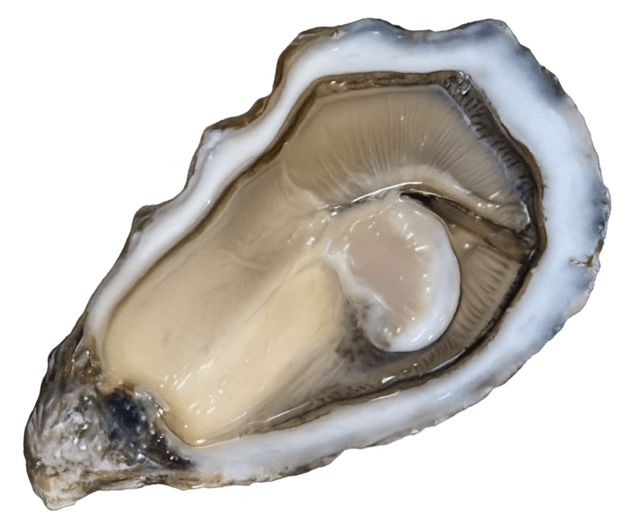 Tia Maraa - Calibro 3