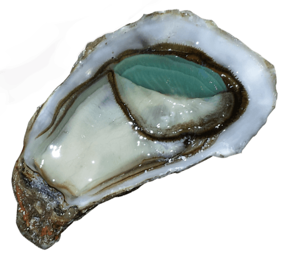 L'Émeraude - Calibro 3