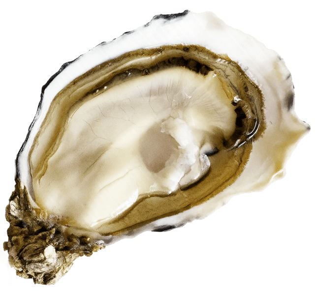 Louet Feisser - Calibro 2