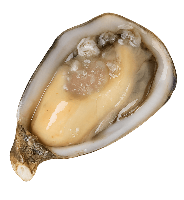 La Mignon - Calibro 6