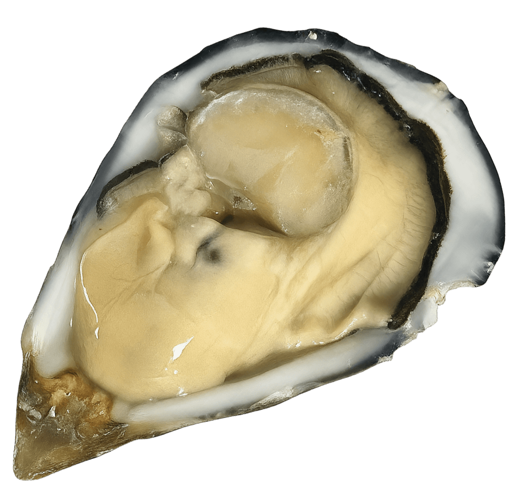 Cuore del Delta - Calibro 3