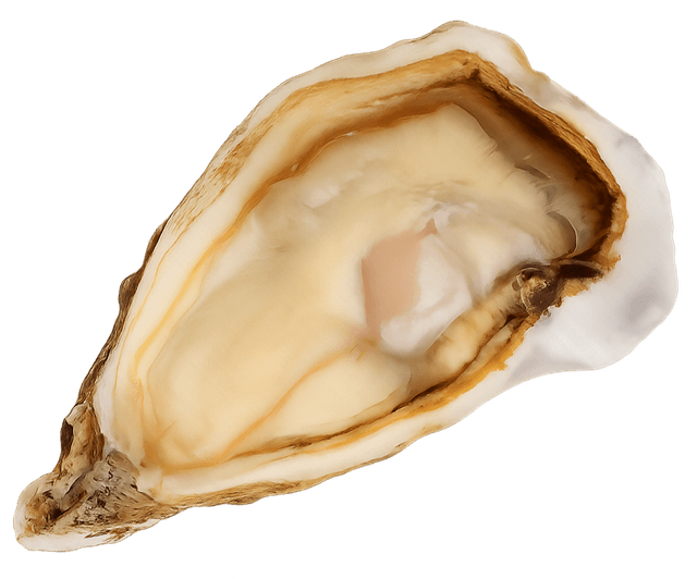 Spéciales Tsarskaya - Calibro 3